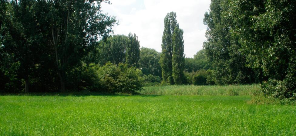 Pension LInde
